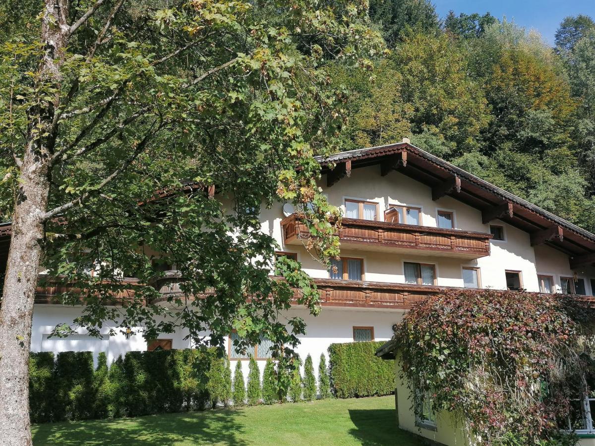 Pension Heilbad Burgwies Stuhlfelden Extérieur photo