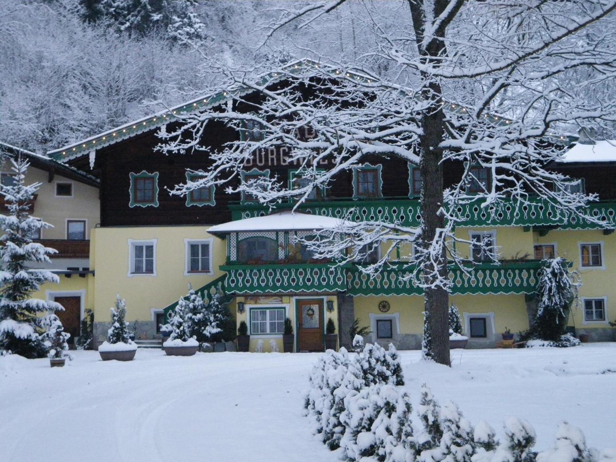 Pension Heilbad Burgwies Stuhlfelden Extérieur photo